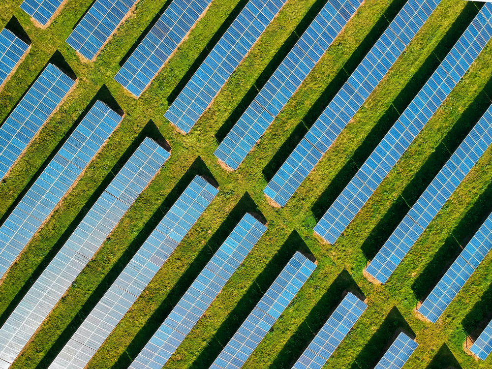 Güneş Panelleri Altında Yapılan Tarımsal Üretim